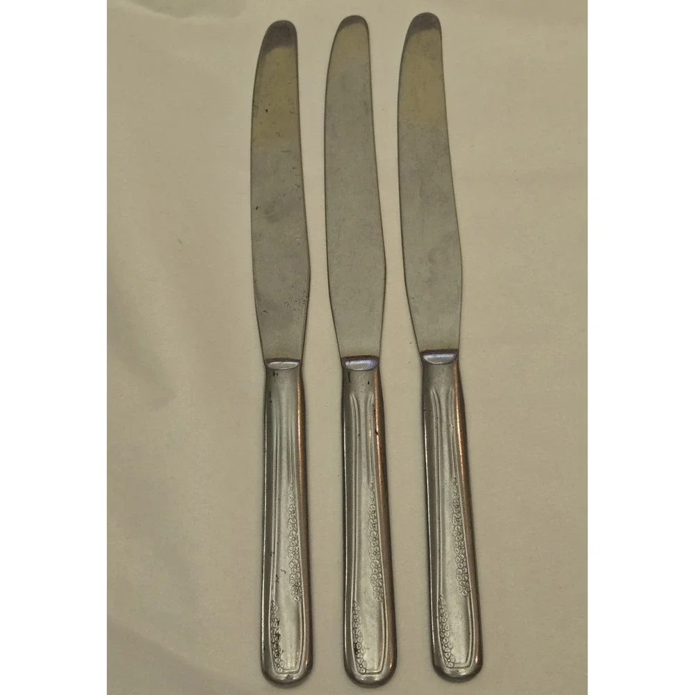 Lot Of 3‎ National Stainless NS Co Dinner Knives Flower Glossy - Unknown Pattern